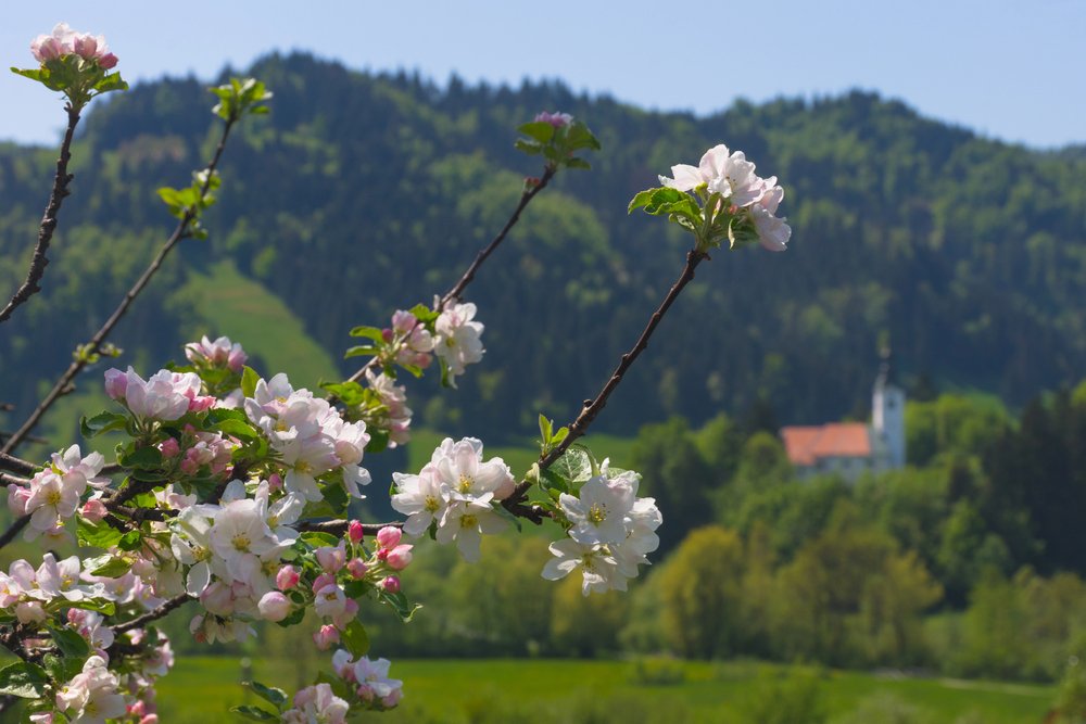 Primavera in Slovenia: top location e consigli
