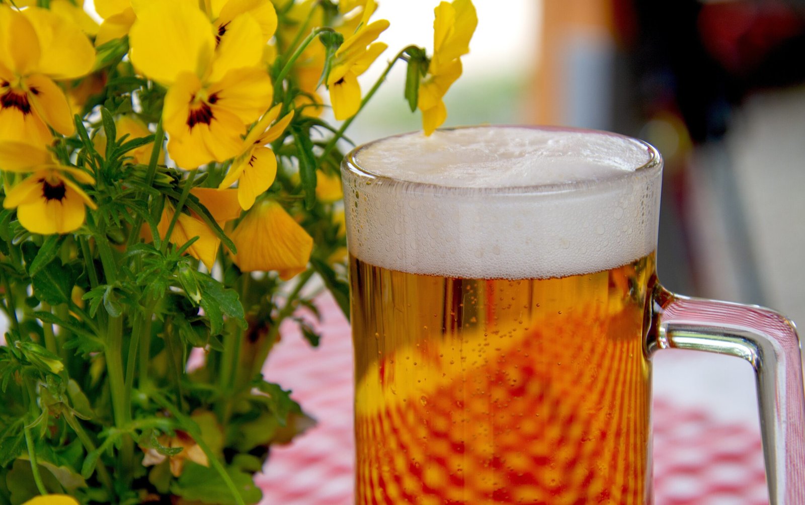 birra slovena