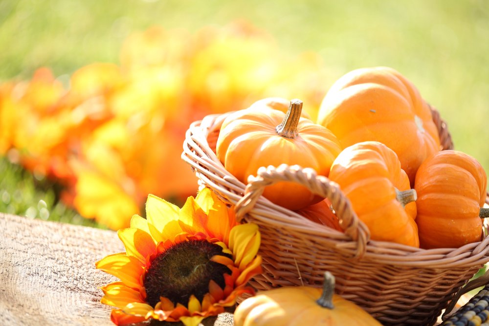 cosa mangiare slovenia autunno